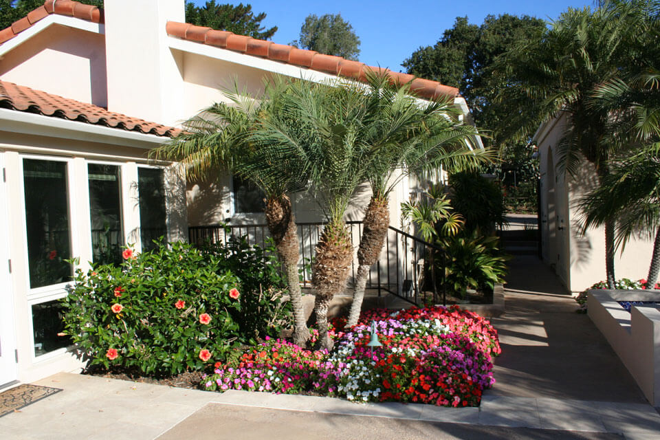 san-diego-home-tree-Services-landscaper