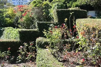 La Jolla Tree Services